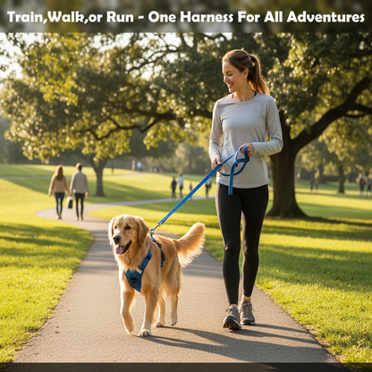 No-Pull Reflective Dog Harness | Anti-Choke Training Vest with Soft Padding and Easy-Control Handle