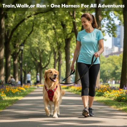 No-Pull Reflective Dog Harness | Anti-Choke Training Vest with Soft Padding and Easy-Control Handle