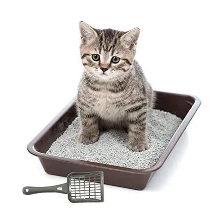 Durable Cat Litter Scooper | High-Grade Plastic, Easy-Clean Scoop for Cat Litter Boxes | 1 Piece (Color May Vary)