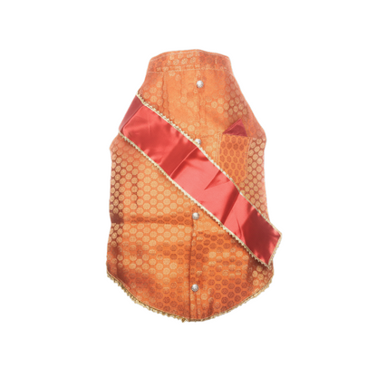 Festive for Pets – Orange | Stylish Outfit for Weddings & Festivals