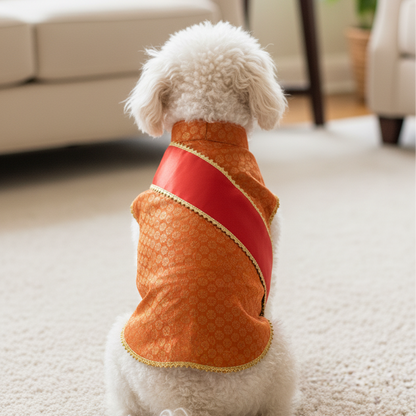 Festive for Pets – Orange | Stylish Outfit for Weddings & Festivals