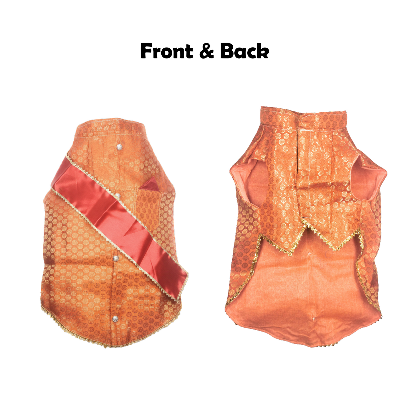 Festive for Pets – Orange | Stylish Outfit for Weddings & Festivals