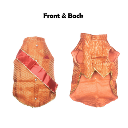 Festive for Pets – Orange | Stylish Outfit for Weddings & Festivals