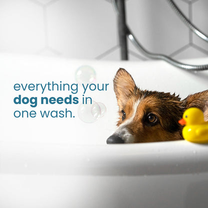 Dirty Doggie Combo: Conditioning Shampoo + Tick & Flea Shampoo (300 ml Buy1Get1 FREE) | Neem, Vitamin E & Coat Repair