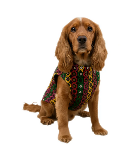 Festive for Dogs – Black | Stylish Outfit for Weddings & Festivals