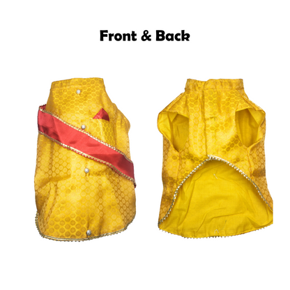 Festive for Pets – Yellow | Stylish Outfit for Weddings & Festivals